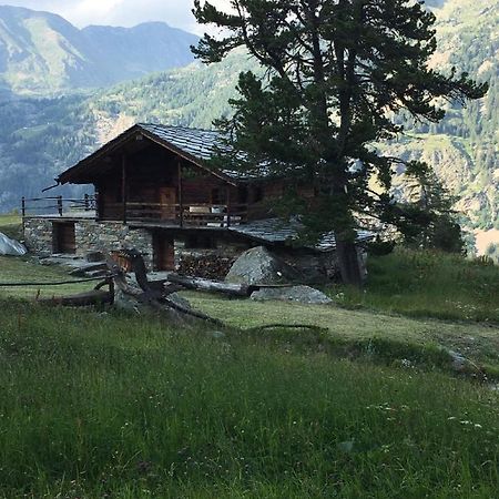 Вилла Baite Cialvrina Грессоне-Сен-Жан Экстерьер фото